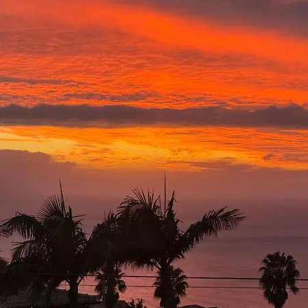 Zen House By The Madeira Luxury Collection 别墅 *