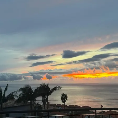 Zen House By The Madeira Luxury Collection 别墅 *