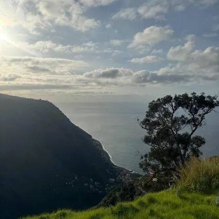 Zen House By Tmlc * Arco da Calheta (Madeira)