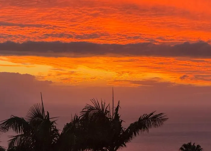 Zen House By The Madeira Luxury Collection Vila *